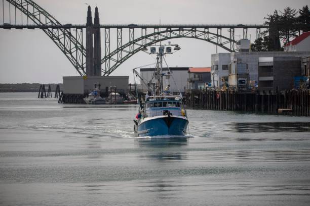 istock Fishing Industry Newport, Oregon 1310996827
