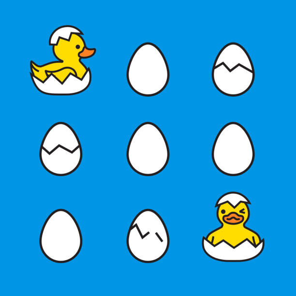 illustrazioni stock, clip art, cartoni animati e icone di tendenza di pulcini di anatre gialle che si schiudono dalle uova - animal egg chicken new cracked