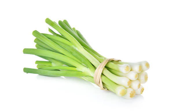 istock Green onion isolated on white background 1310998498