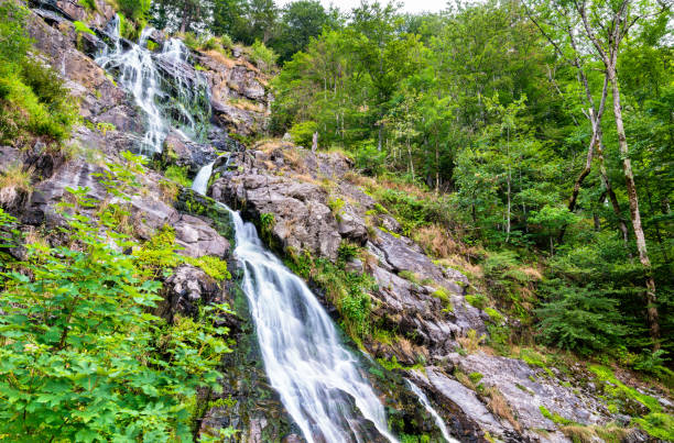 istock Todtnau Waterfall in the Black Forest Mountains, Germany 1311000223
