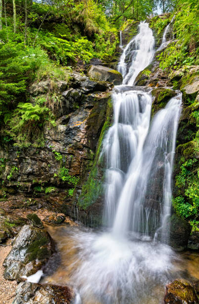 istock Todtnau Waterfall in the Black Forest Mountains, Germany 1311000228