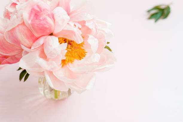 istock Bunch of pink peonies and roses 1311002228