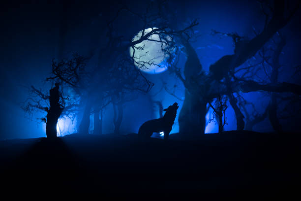 istock Silhouette of howling wolf against dead forest skyline and full moon. Creative artwork decoration. 1311008776