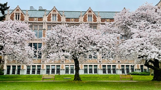 A brick building with a green lawn at the University of Washington in Seattle, WA.