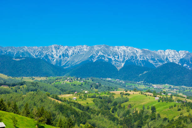 istock Summer alpine landscape with green fields and valleys, Bran, Transylvania 1311018621