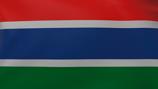 Gambia flag background. National flag of Gambia texture