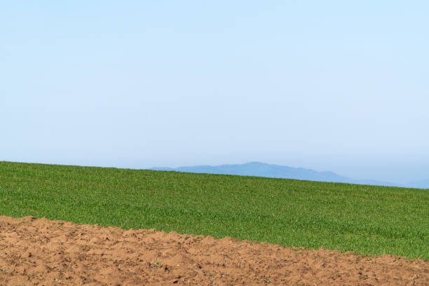 Landscape of plowed farm fields