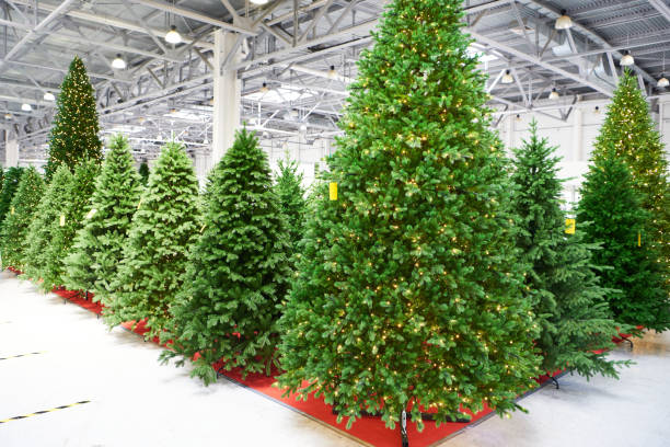 Artificial Christmas trees spruce in store Artificial Christmas trees spruce in the store christmas decoration storage stock pictures, royalty-free photos & images