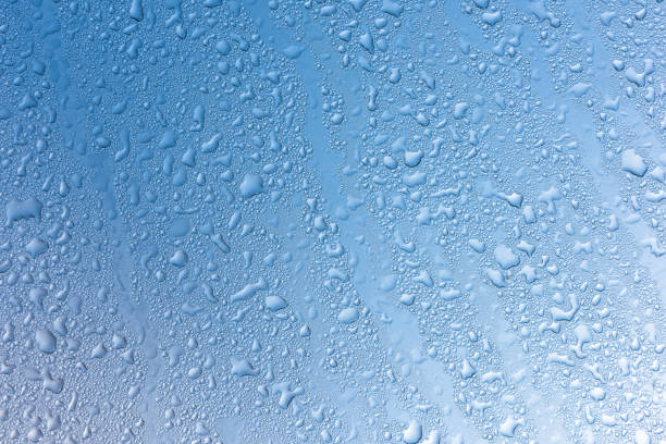 istock Morning dew on the glass 1311036392