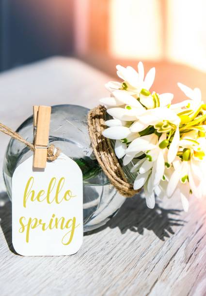 istock Greeting card text HELLO SPRING lettering with snowdrop flowers. Early spring flowers. Springtime. Fresh bouquet 1311037147