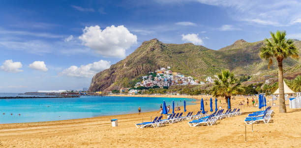 istock Landscape with Las teresitas beach 1311039974