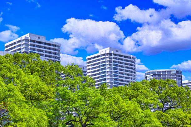 Fresh green season. High-rise apartment and fresh green forest