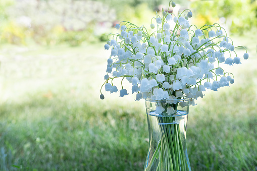 A DSLR photo of Lilies-Of-The-Valley (Convallaria Majalis) - bouquet of forest flowers in a vase on a green background with beautiful defocused lights bokeh. Space for copy.