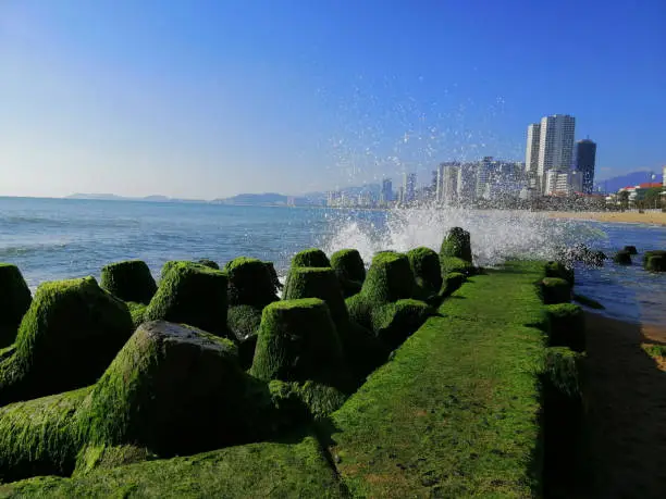 Mossy rocks in foreground, Nha Trang City skyline in background with blue ocean/coastline in between
