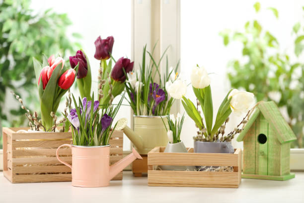 istock Different beautiful spring flowers with birdhouse on window sill 1311047764