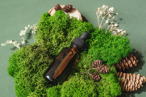 istock top view of bottle in moss, sustainable design. 1311048929