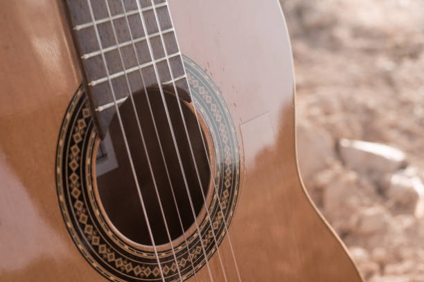 istock guitarist in the field 1311049079