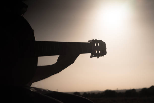 istock guitarist in the field 1311049095