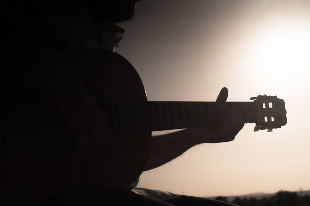 istock guitarist in the field 1311049099