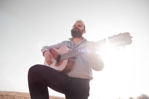 istock guitarist in the field 1311049199