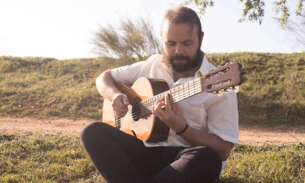 istock guitarist in the field 1311049201