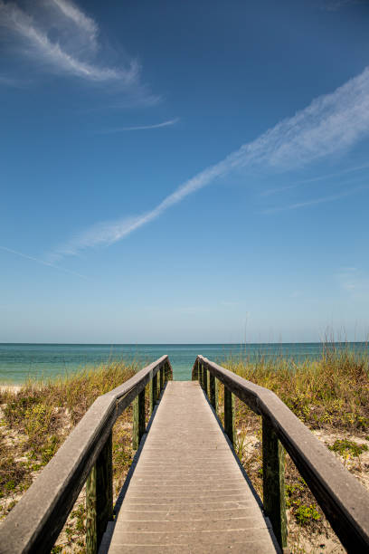 istock Walkway to an idyllic beach and warm ocean 1311050382