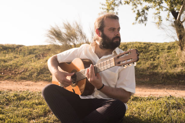 istock guitarist in the field 1311050644