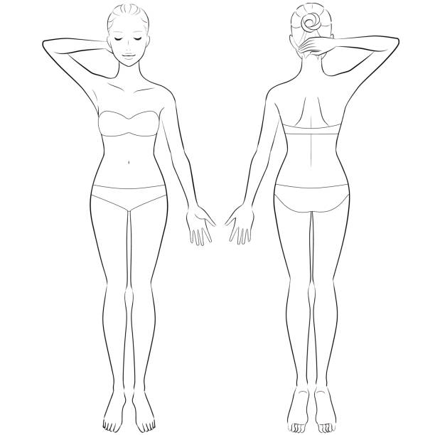 美しさのためにフルレングスの女性の体。ベクトルの図 - 人体 イラスト点のイラスト素材／クリップアート素材／マンガ素材／アイコン素材