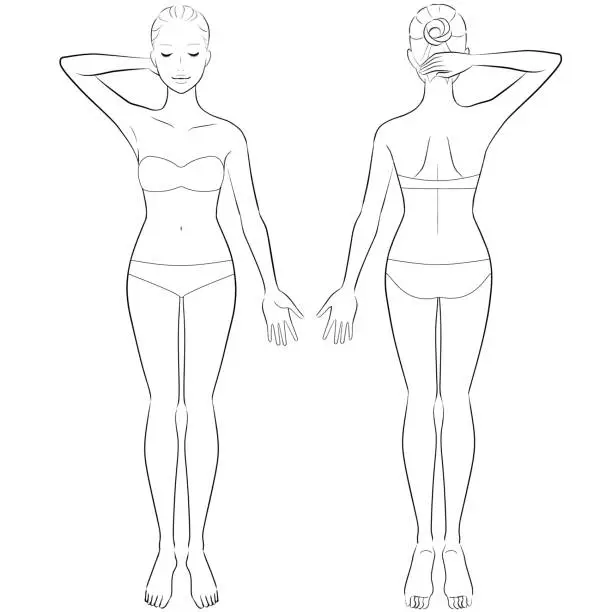 Vector illustration of Female body in full length for beauty. vector illustration