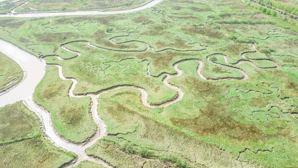 istock aerial view of curved river 1311053324