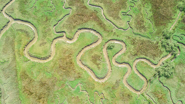 istock aerial view of curved river 1311053359