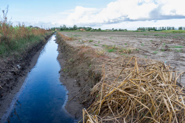 istock Irrigation canal in the countryside 1311053650