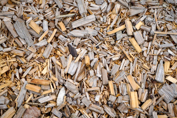 istock Wood with a fine structure, photographed outdoors in daylight 1311054382