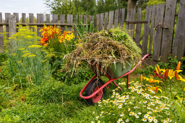 Garden cart in the kitchen garden