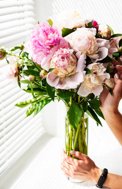 istock Beautiful pink peony bouquet in a vase. 1311054917
