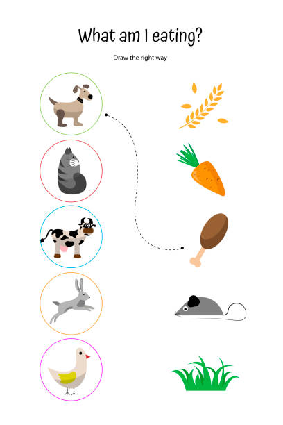 Animals And Food What Do Farm Animals Eat Worksheet For Preschoolers Cow  Dog Cat Chicken Rabbit Stock Illustration - Download Image Now - iStock