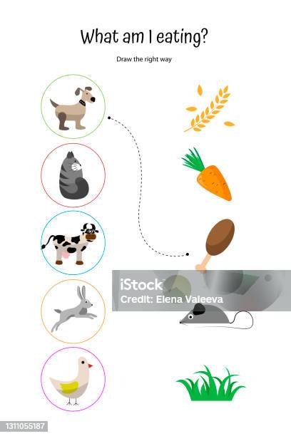 Animals And Food What Do Farm Animals Eat Worksheet For Preschoolers Cow  Dog Cat Chicken Rabbit Stock Illustration - Download Image Now - iStock