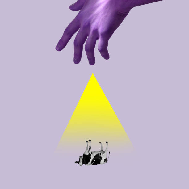 istock Hands aesthetic on bright background, artwork. Concept of human relation, community, togetherness, symbolism, surrealism. 1311055811