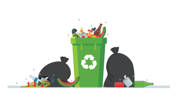 illustrations, cliparts, dessins animés et icônes de ordures sales autour du vecteur de poubelle isolé, mouches volant autour des ordures. vue sale. - poubelles
