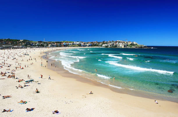 People relaxing on the Bondi beach in Sydney, Australia People relaxing on the Bondi beach in Sydney, Australia bondi beach photos stock pictures, royalty-free photos & images