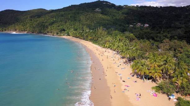 istock yellow sand beach in Guadeloupe 1311058181