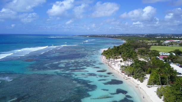 istock white sand beach in Guadeloupe 1311059065