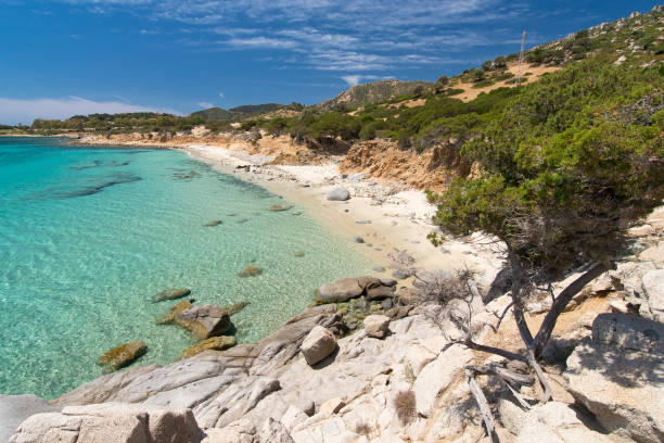 istock white sand and tropical landscape at Piscadeddus beach, Villasimius 1311059125
