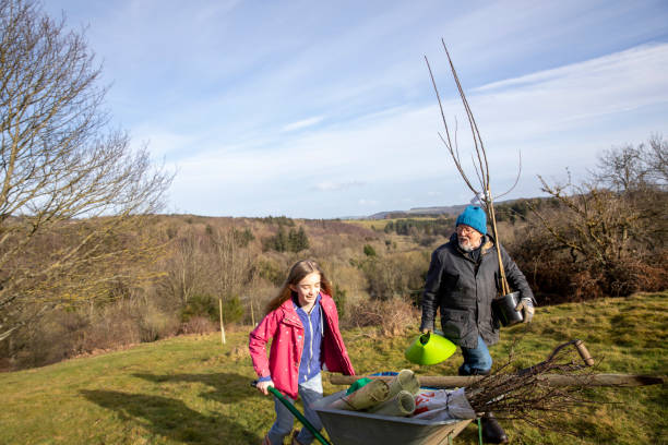 istock Pushing the Wheelbarrow Up the Hill 1311059150