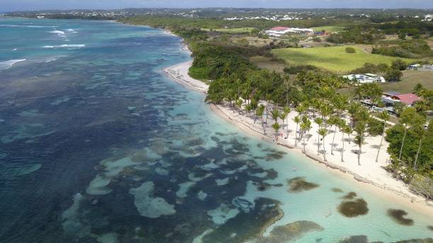 istock white sand beach in Guadeloupe 1311059271