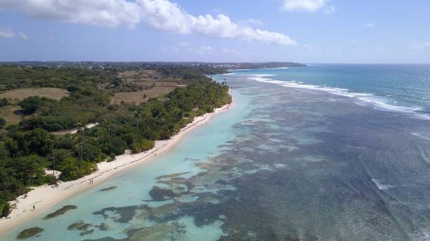 istock white sand beach in Guadeloupe 1311059305