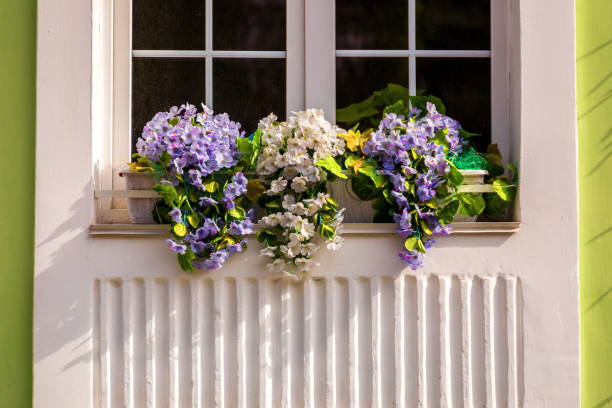 istock Pots of flowers 1311059441