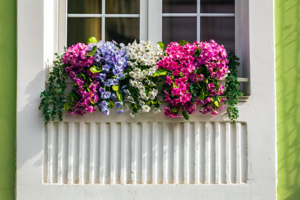 istock Pots of flowers 1311059449