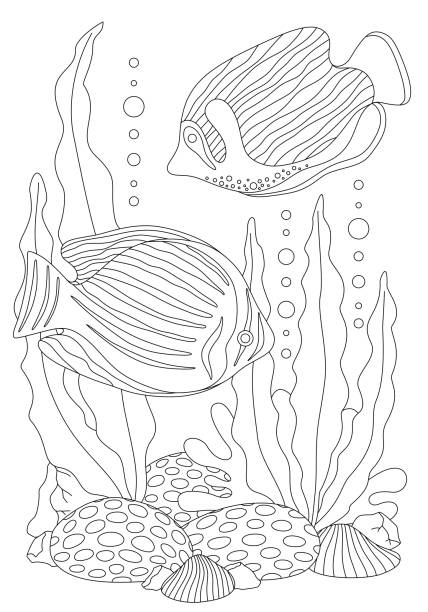 TROPICAL SEA FISH COLORING BOOK COLORING BOOK FOR KIDS WITH OCEAN FISH IN VECTOR coloring book page illlustration technique illustrations stock illustrations