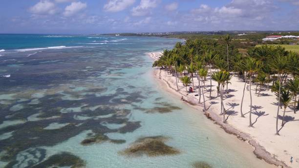 istock white sand beach in Guadeloupe 1311059571